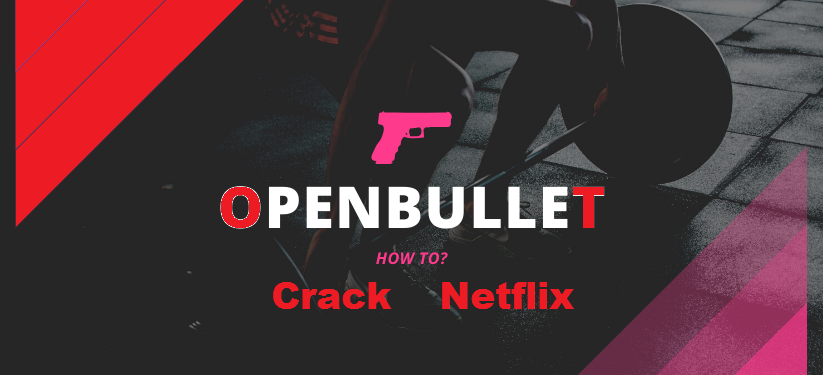 Netflix Cracking Guide